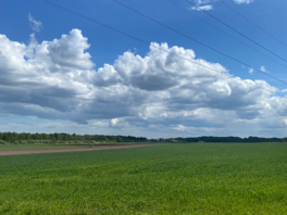 Norrköping Östra Eneby Solar Park: a Sustainable Energy Solution Image
